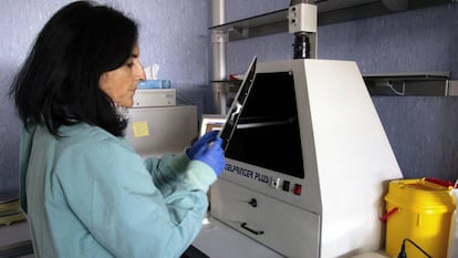 María Paz Sánchez-Seco, responsable del Laboratorio de Arbovirus del Centro Nacional de Microbiología del Instituto de Salud Carlos III.