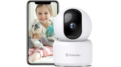 Camara De Vigilancia Para Perros - Cámara Ip - AliExpress