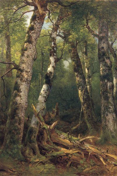 <i>Grupo de árboles</i> (1855-1857), de Asher B. Durand.