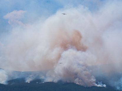 Dos aviones anfibios luchaban contra el incendio forestal que afecta a la isla de Tenerife este lunes en Güimar, uno de los municipios afectados.
