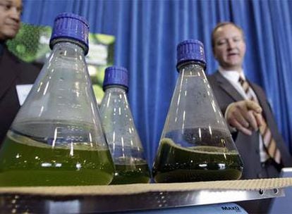 Tim Zenk, de Sapphir Energy, explica el proceso para producir biodiesel derivado de algas.