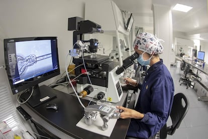 Spain has become an international benchmark for reproductive tourism