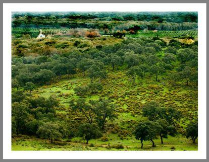Uno de los parajes de la finca de La Almoraima.