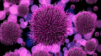 Los virus plantean un problema a los biólogos porque no tienen células, por lo que no forman parte de ninguno de los tres grupos principales de seres vivos.