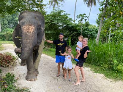 Visita al Santuario de los Elefantes, en el norte de Tailandia. 