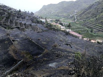 Zona quemada por el fuego en el valle de Hermigua, en la isla de La Gomera.