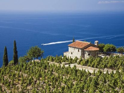 Villa y viñedos sobre la costa cerca de Colle d'Orano, en la isla de Elba (Italia). 
