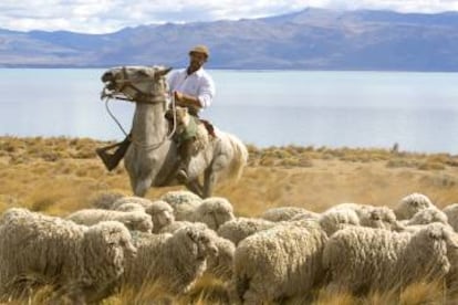 Un gaucho en el lago Argentino, en la provincia de Santa Cruz (Argentina).