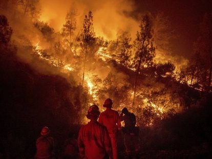 Bomberos frente al incendio múltiple de Mendocino, en Ladoga, California, el pasado martes.