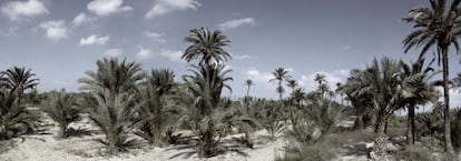 'Albatera (Alicante), 1939'. Serie 'Cartografías silenciadas' (2006-2014).