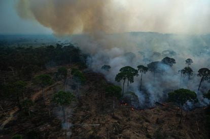 Vista aerea de la quema ilegal de la Amazonia, en Brasil
