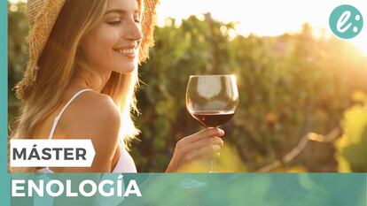 Descubre y aprende todos los secretos del mundo del vino 