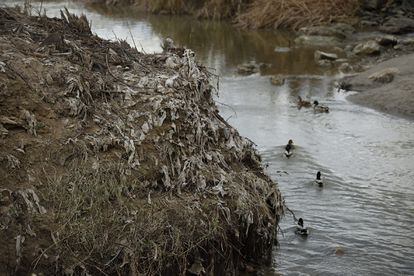 Islote formado por toallitas y otros materiales aparecido tras bajar el cauce del río Guadalquivir a su paso por Córdoba capital.
