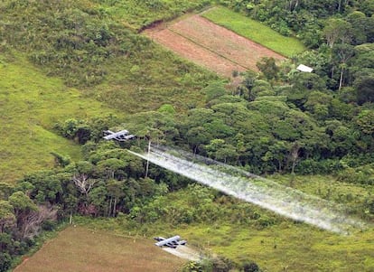 Fumigaciones con glifosato sobre cultivos de coca.  