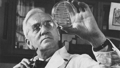 La verdadera historia del primer paciente tratado con penicilina | Ciencia | EL PAÍS
