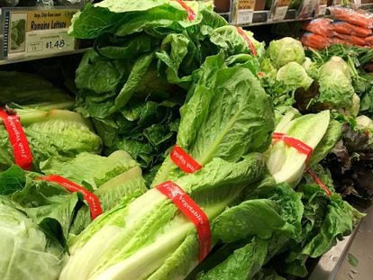 FOTO: Lechuga romana en un supermercado el pasado mes de mayo. / VÍDEO: Declaraciones del doctor William Schauffner, de la Universidad de Vanderbilt.