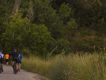 Ciclistas en la sierra de Collserola 