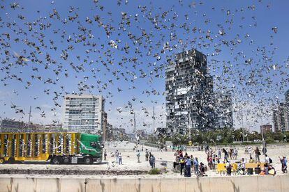 Suelta de palomas más importante del mundo en la playa Nova Marbella de Barcelona.