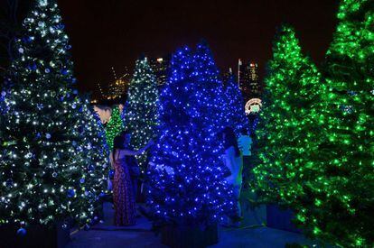Una pareja se retrata junto a coloridos árboles iluminados en el Christmas Wonderland, en Singapur, un espacio temático de la navidad en los Jardines de la Bahía que ocupa 57.000 metros cuadrados y donde se juntan esculturas lumínicas y puestos de mercado. Estará abierto hasta el 1 de enero.