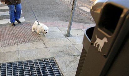 Un perrito, junto a una de las nuevas papeleras para perros (sin bolsa) en la Avenida de Asturias.