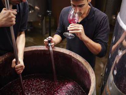 Manual para ser (en 24 horas) un experto en vinos