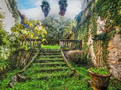 Jardín abandonado en Toscana (Italia).