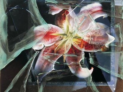 Conocido sobre todo por sus retratos psicológicos, el fotógrafo Alberto Schommer (1928-2015) desarrolló en los últimos años de su vida una obra en la que innovó y experimentó con materiales para retratar flores, árboles y paisajes.