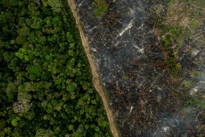 Vista aérea de una zona quemada de la selva del Amazonas, cerca de la ciudad de Porto Velho, Brasil, el pasado septiembre.