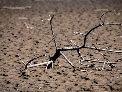 Imagen de la sequía en el pantano de Sau.