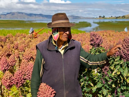 Retrato de un granjero de quinoa.