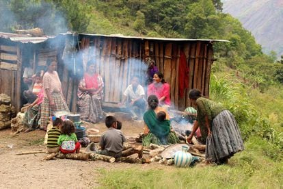 De la casa a la tierra y vuelta | Planeta Futuro | EL PAÍS