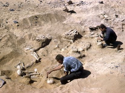 Excavación del cementerio 117 en los años 60, antes de que fuera cubierto por el embalse de Asuán.