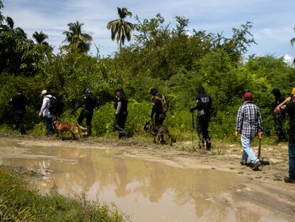 El equipo de búsqueda sigue el rastro del desaparecido Vicente Suástegui en el poblado de El Arenal (Guerrero).