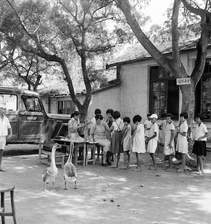 Un grupo de niños en una escuela rural de Taiwán esperan su turno para recibir la vacuna de la tuberculosis, en 1954. Esta enfermedad infecciosa es la segunda más mortífera en el mundo, después de la covid-19. En 2022, por ejemplo, causó casi el doble de muertes que el VIH/sida. Hasta el día de hoy, la única vacuna disponible es la llamada BCG, de un siglo de antigüedad y que protege a neonatos y niños pequeños de formas graves de tuberculosis, pero no sirve para prevenir la tuberculosis pulmonar en adolescentes y adultos, que son los principales transmisores de la enfermedad.

