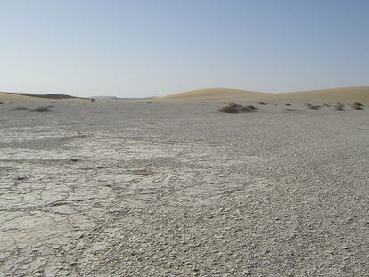 El desierto de Djurab, en Chad, donde se encontraron los fósiles del 'Sahelanthropus tchadensis'.