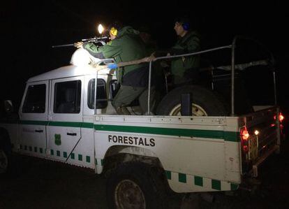 Agentes rurales de Girona, durante uno de sus operativos contra los jabal&iacute;es.