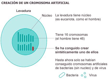 Fuente: Science.