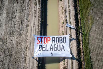 Acción de WWF España en Doñana en el día de los Humedales el pasado 2 de febrero. 