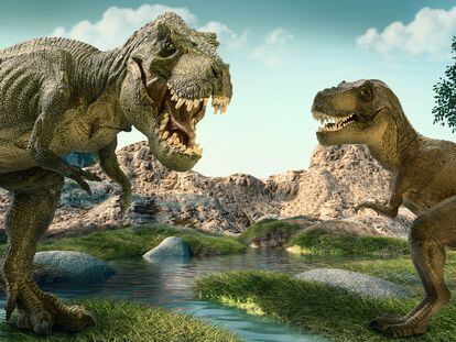 Recreación imaginada de dos posibles 'T-Rex' juntos.