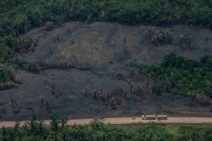 Un camión cargado con soja viaja por la carretera BR-163, la vía principal para el flujo de soja producida en la selva amazónica.