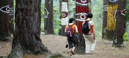 Dos personas caminan entre los pinos del 'Bosque pintado' de Oma. 