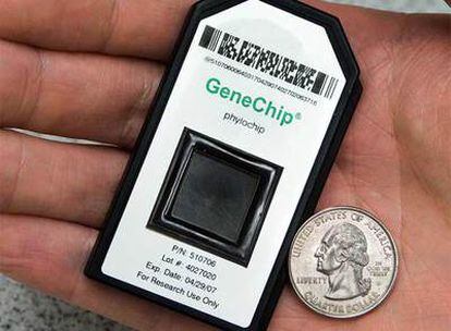 El Phylochip