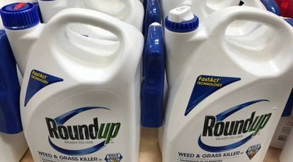 El herbicida Roundup de Monsanto, que contiene glifosato.