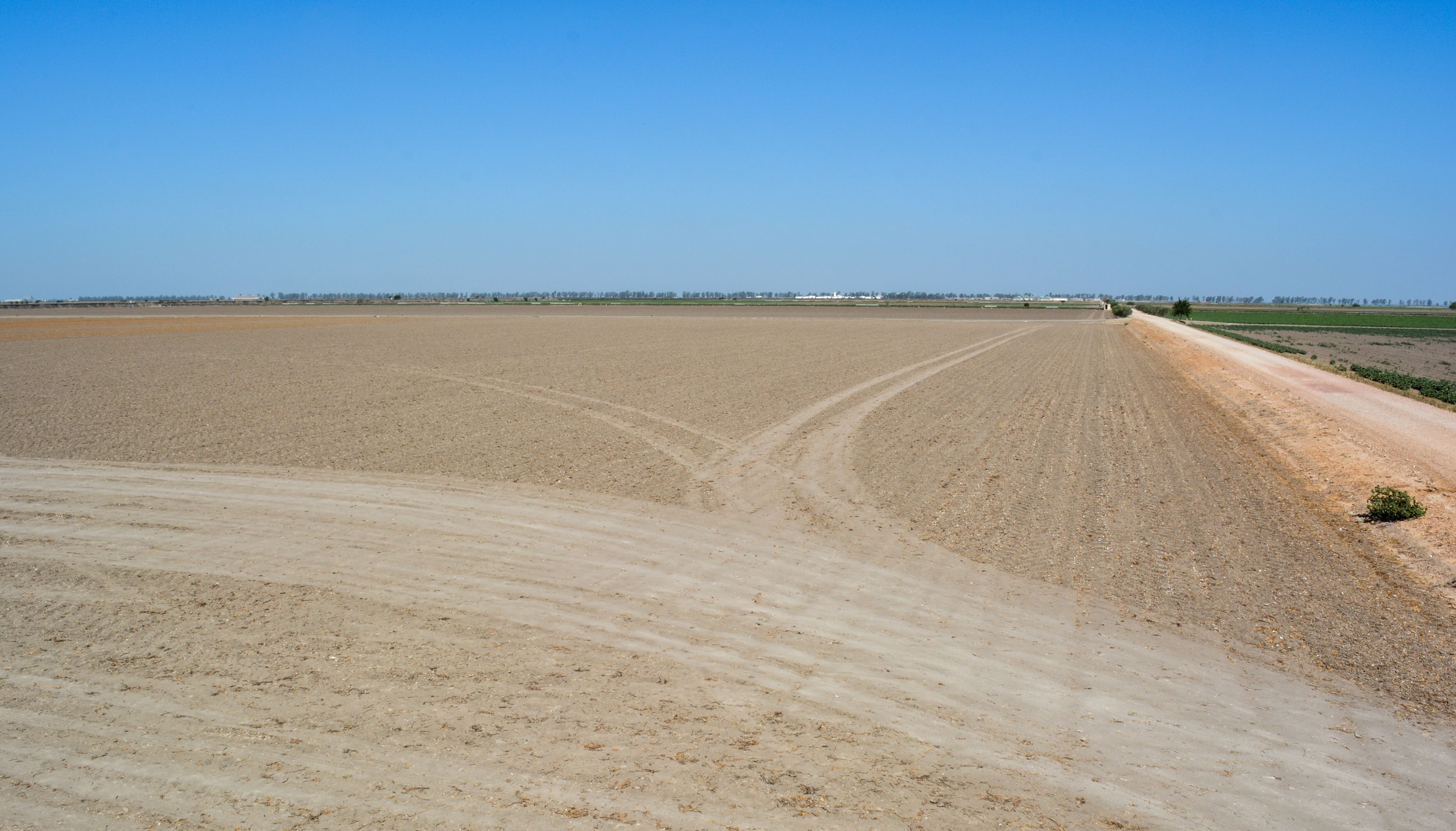 Una parcela seca en Las Marismas del Guadalquivir, una de las regiones más golpeadas por la falta de agua. Antes, en este espacio se cultivaba algodón. 14 de julio de 2023.