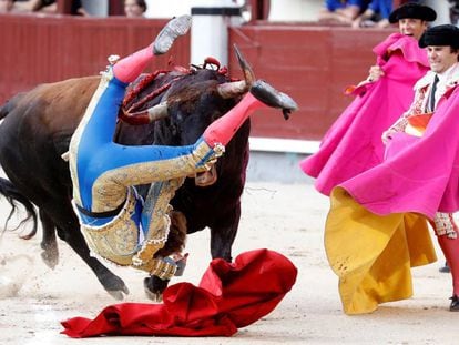 El diestro Román Collado sufre una cornada en su primer toro, hoy en Las Ventas. 