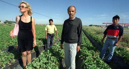 Una polaca, un marroqu&iacute; y dos colombianos en un campo de fresa de Palos (Huelva).