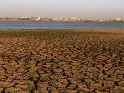Suelo seco junto al Nilo en Jartum, Sudán.