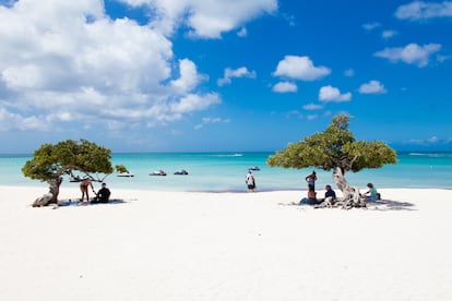 Eagle Beach (Aruba). Esta playa, la más extensa de la isla caribeña de Aruba, sube tres puestos respecto al año pasado situándose en el segundo lugar en las preferencias de los usuarios de la plataforma. Además de por la blancura de sus arenas, es conocida por sus característicos árboles fofoti.