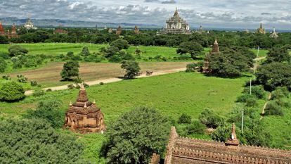 La llanura de Bagan, con sus templos budistas sobresaliendo entre la vegetaci&oacute;n.