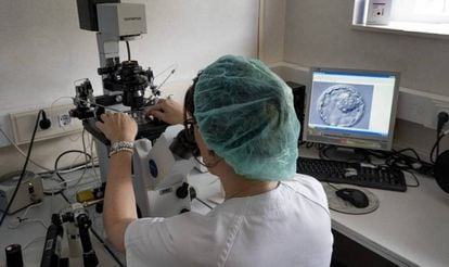 Una doctora observa una muestra de embrión en el Hospital Virgen del Rocío en Sevilla.